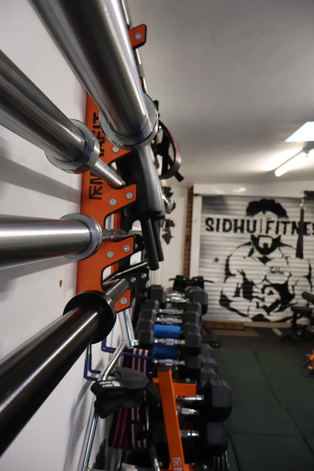 Custom Sidhu Fitness mural, cable equipment and free-weight area in the private studio